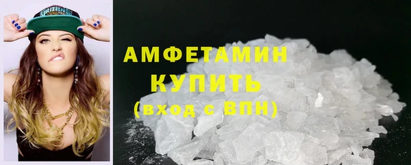 индика Дмитров